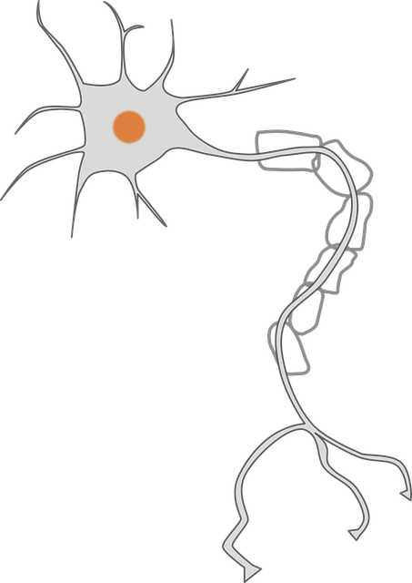 Arialief Nerve Health Support